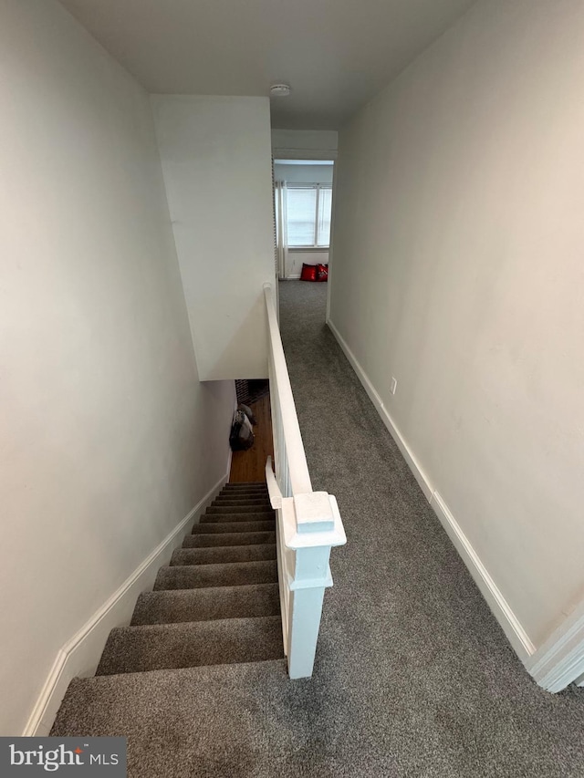 staircase with carpet floors and baseboards