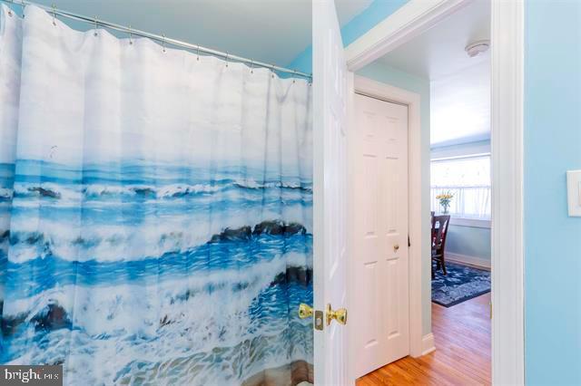 bathroom featuring a shower with curtain and wood finished floors