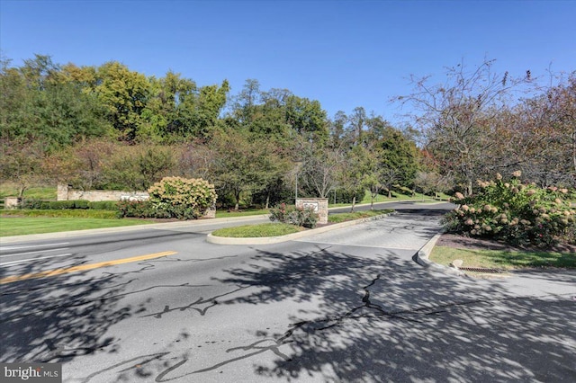 view of road featuring curbs