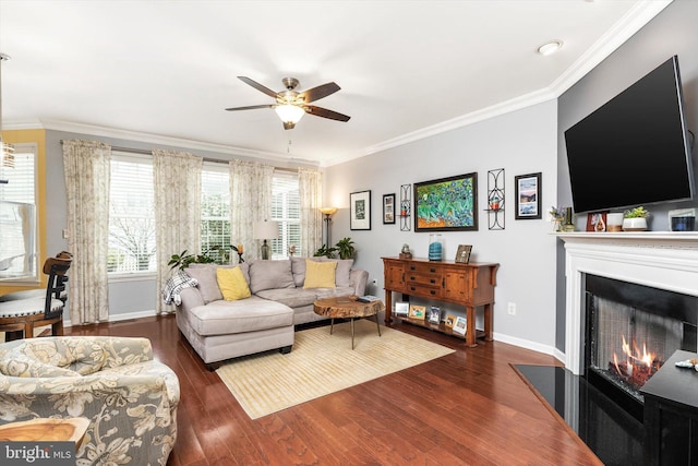 living room with crown molding, ceiling fan, wood finished floors, a warm lit fireplace, and baseboards