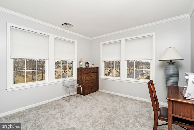 office with ornamental molding, plenty of natural light, carpet flooring, and visible vents