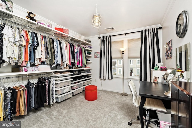 spacious closet with carpet and visible vents