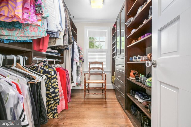 809 Cornell St, Fredericksburg, VA 22401 - walk in closet with wood finished floors