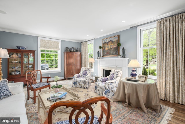 809 Cornell St, Fredericksburg, VA 22401 - living room featuring plenty of natural light, ornamental molding, wood finished floors, and a fireplace