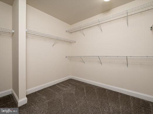 walk in closet featuring dark colored carpet