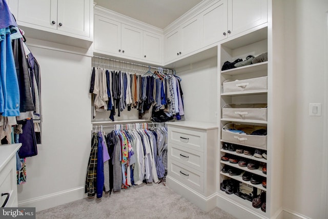 spacious closet featuring carpet