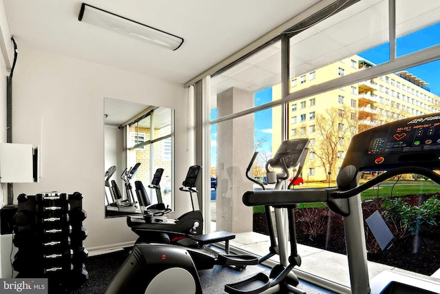 gym featuring baseboards and a wall of windows