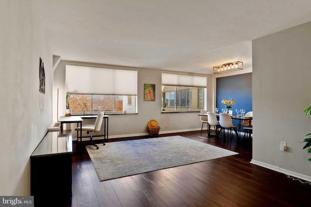 interior space with baseboards and hardwood / wood-style floors