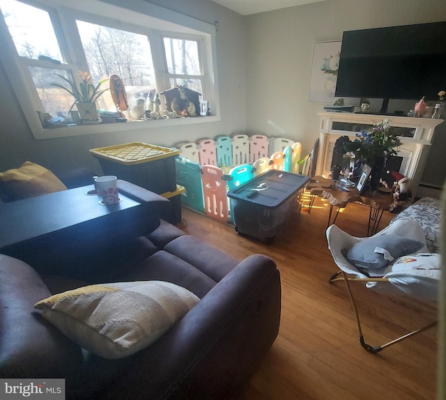 living room with a fireplace with flush hearth and wood finished floors