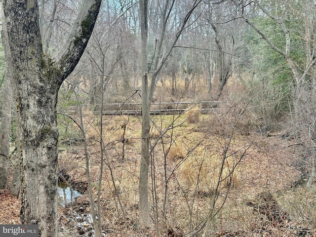 view of local wilderness featuring a wooded view