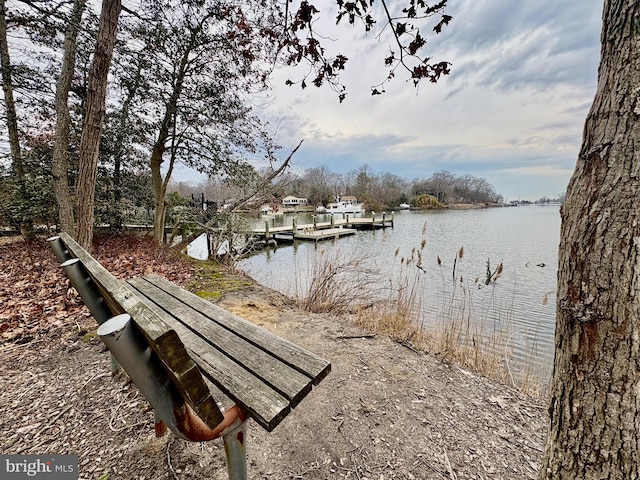 dock area with a water view