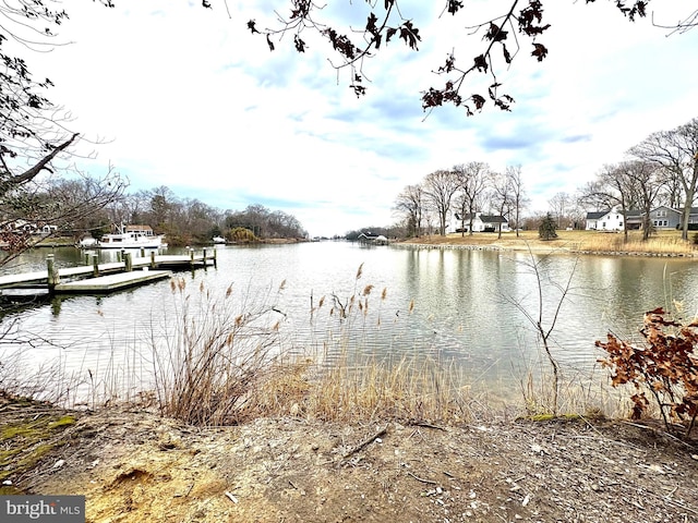 water view featuring a dock