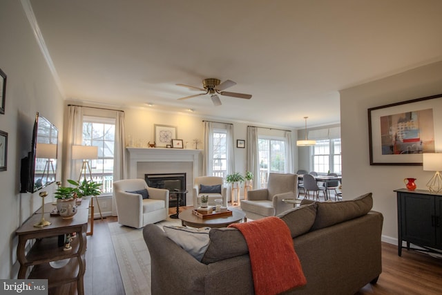 living area featuring a wealth of natural light, crown molding, wood finished floors, and a glass covered fireplace