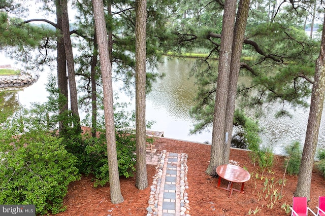 view of water feature