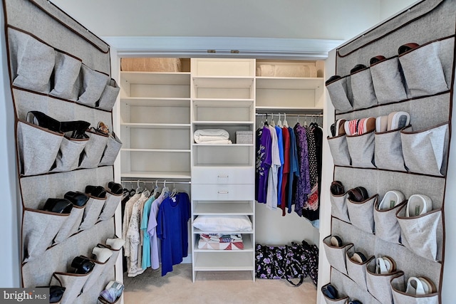 spacious closet featuring carpet floors