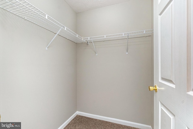 spacious closet with carpet floors