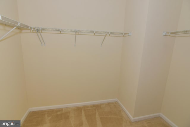 spacious closet featuring light colored carpet