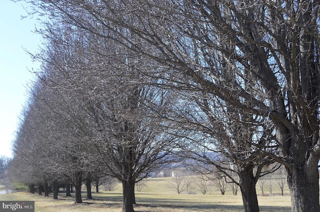 view of home's community with a lawn