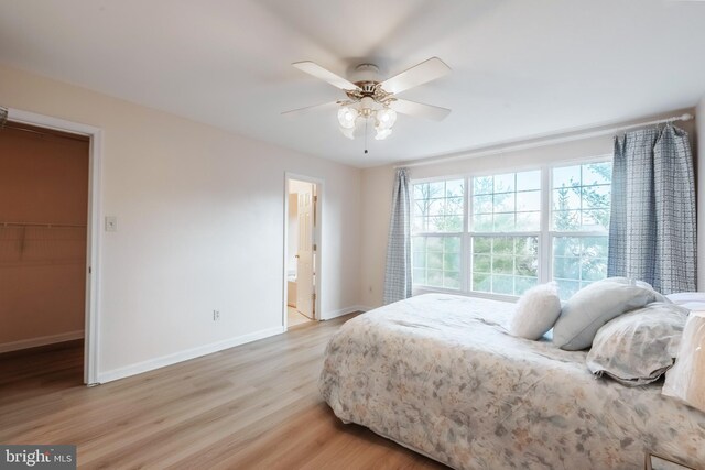 bedroom featuring light wood-style flooring, a spacious closet, connected bathroom, ceiling fan, and baseboards