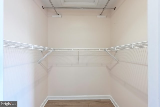 spacious closet featuring wood finished floors