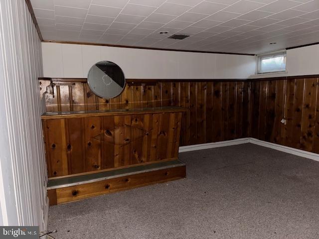 interior space featuring wooden walls, carpet flooring, and wainscoting