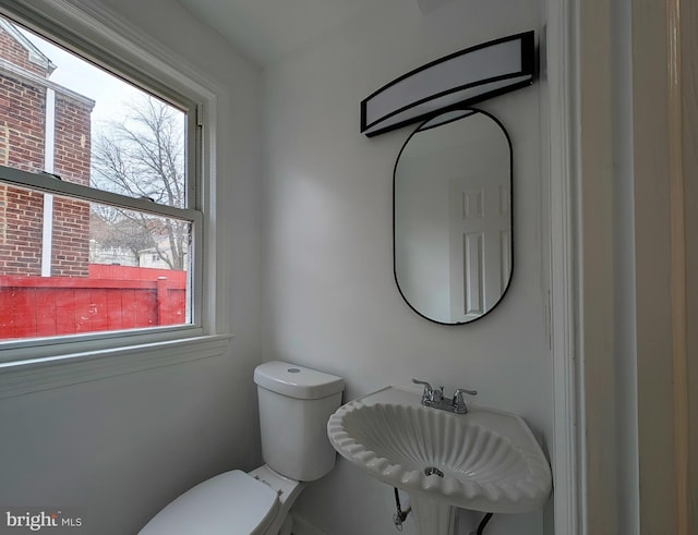 bathroom with toilet, plenty of natural light, and a sink