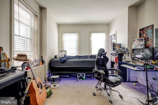 view of carpeted bedroom