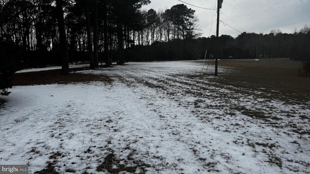 view of snowy yard