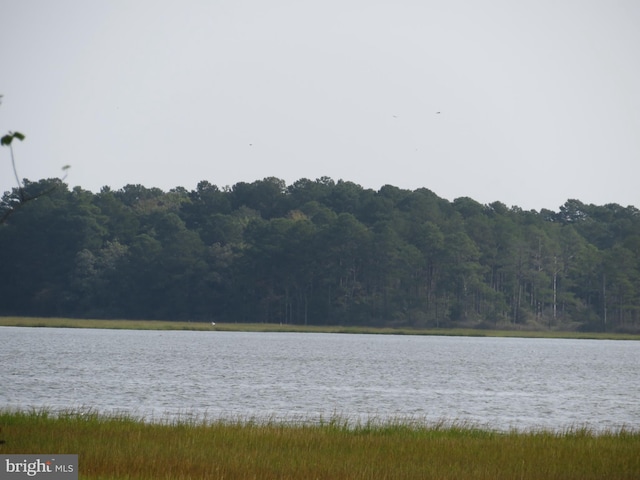 water view with a view of trees