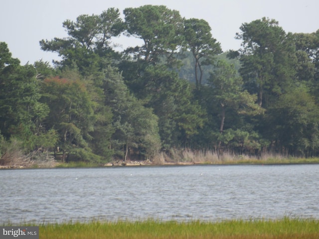 water view featuring a forest view