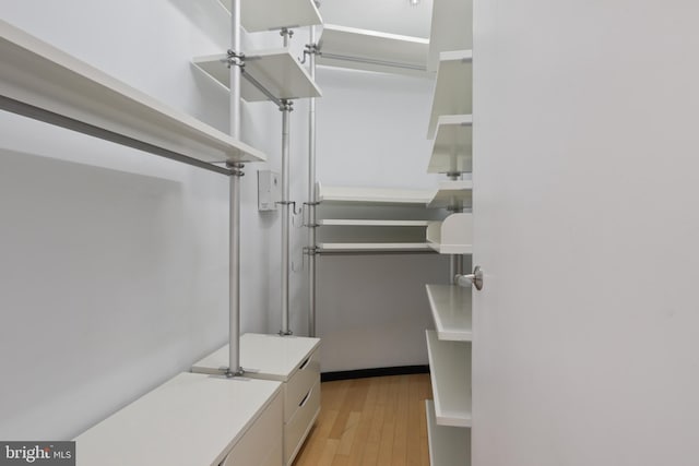 walk in closet with light wood-style flooring