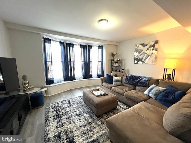 living area featuring wood finished floors