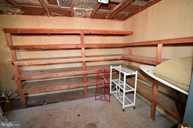 view of storage room