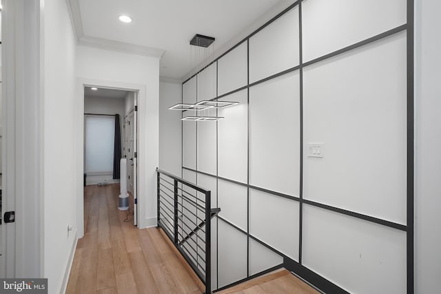 walk in closet featuring light wood-style floors