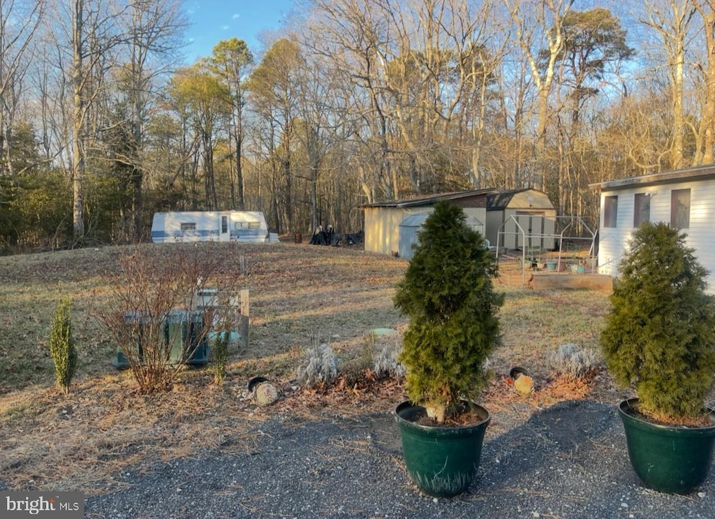 view of yard with a storage unit and an outdoor structure