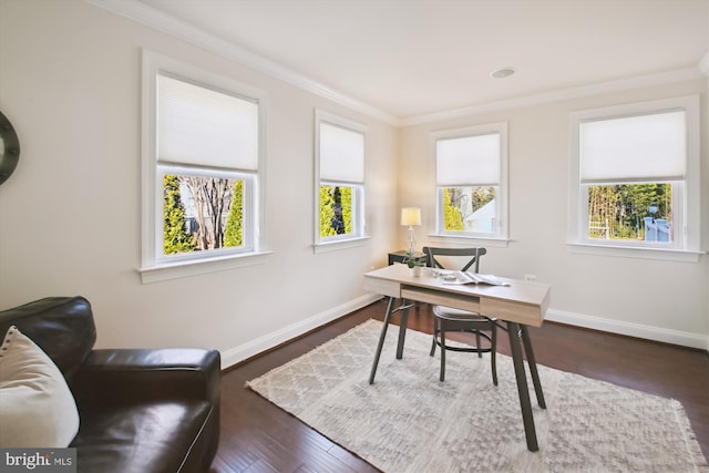 office area featuring a wealth of natural light, dark wood-style floors, baseboards, and crown molding