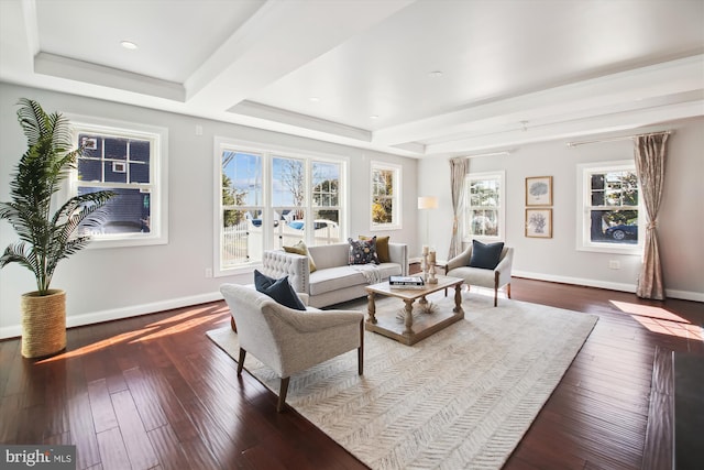 living area featuring dark wood-type flooring, a raised ceiling, and baseboards