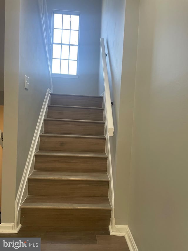 staircase with wood finished floors