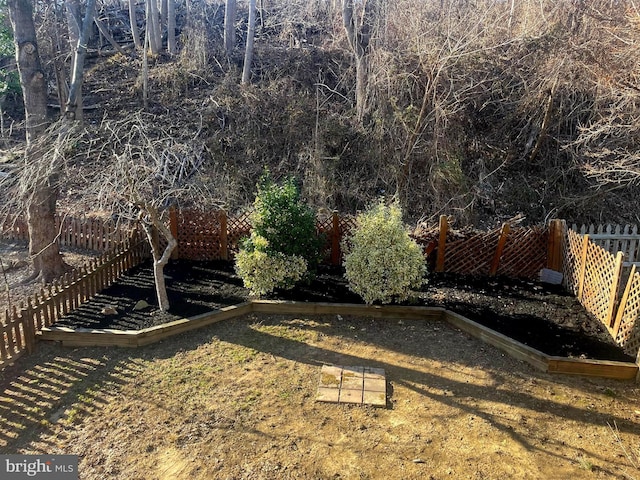 view of yard with a fenced backyard