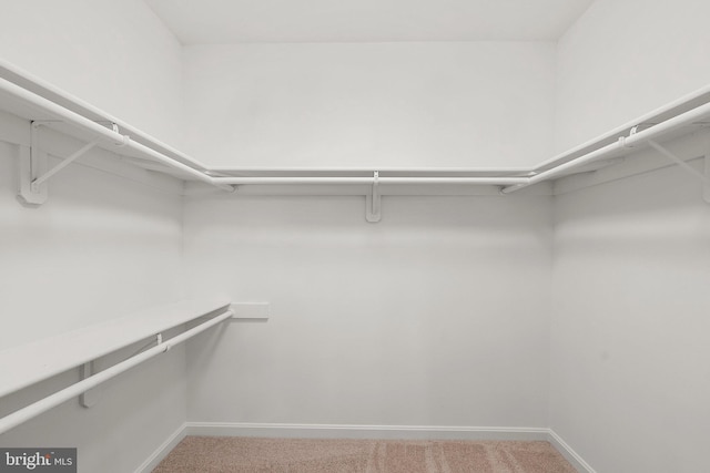 walk in closet with carpet