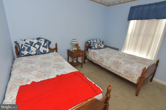 bedroom with carpet floors