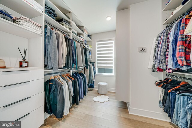 spacious closet featuring light wood-style floors