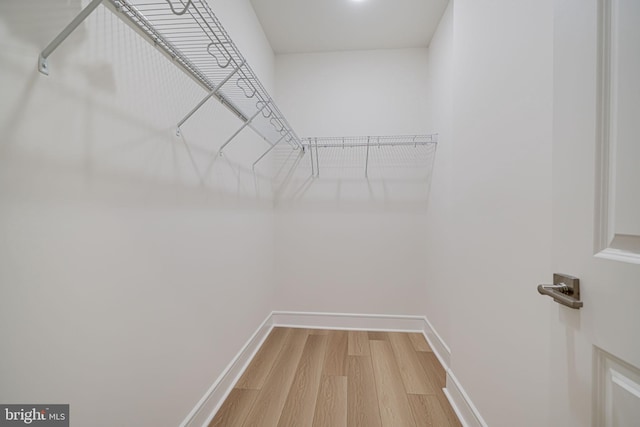 spacious closet with light wood-style floors