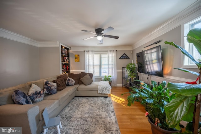 living room featuring ceiling fan, wood finished floors, and crown molding