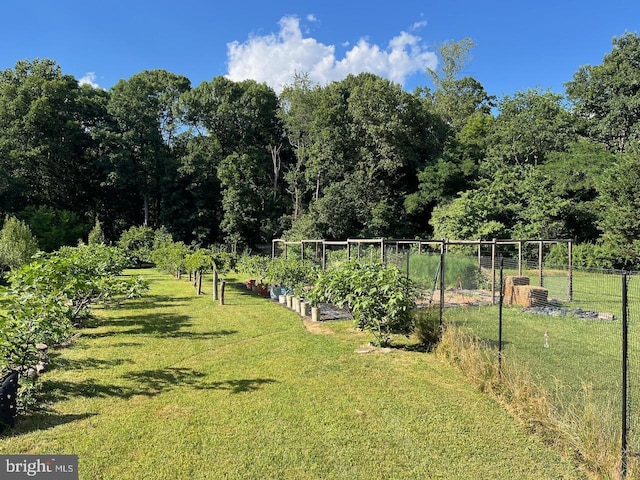 view of yard featuring a garden