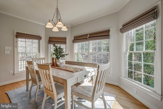 dining space with ornamental molding, plenty of natural light, light wood-style flooring, and baseboards