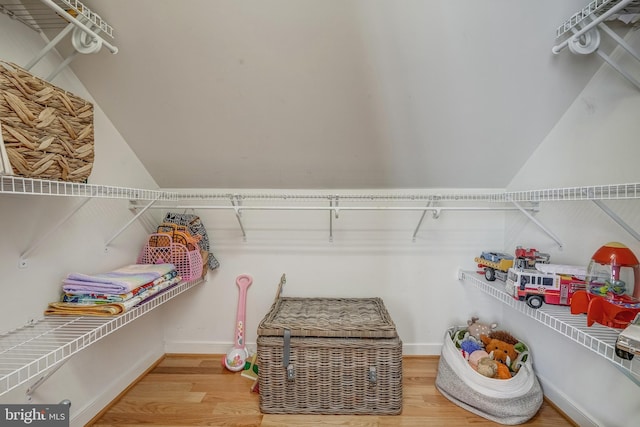 spacious closet with wood finished floors