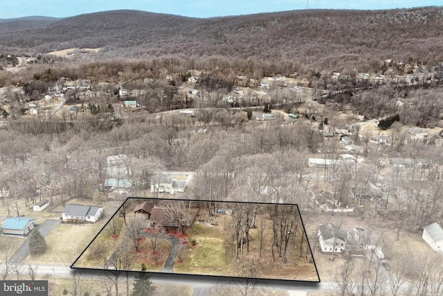 birds eye view of property with a mountain view