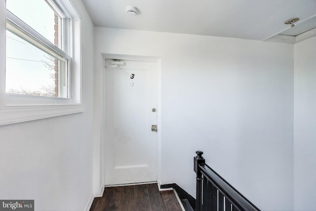 entryway with plenty of natural light, baseboards, and dark wood-type flooring