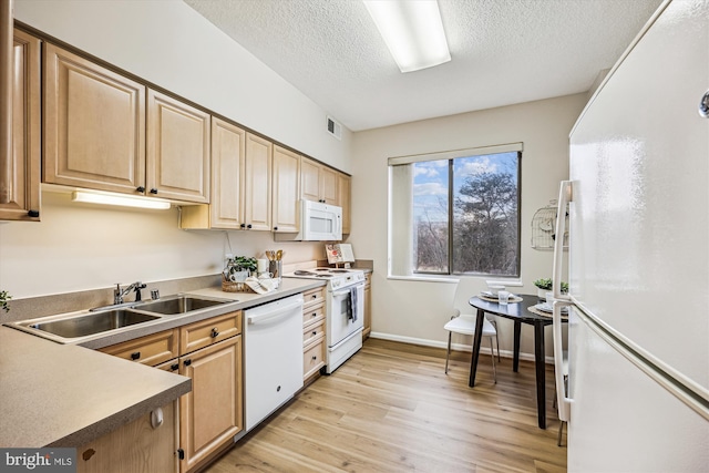 kitchen with light wood-style floors, light brown cabinets, a sink, a textured ceiling, and white appliances